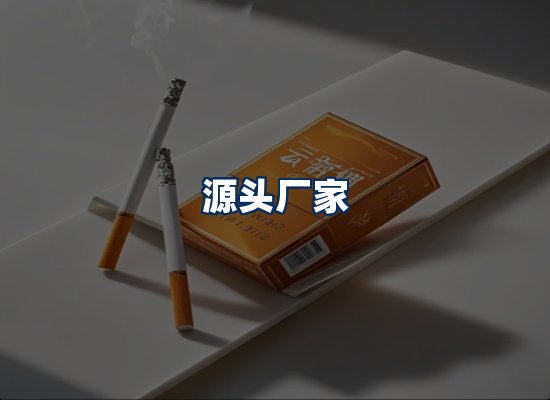 专业团队办公环境